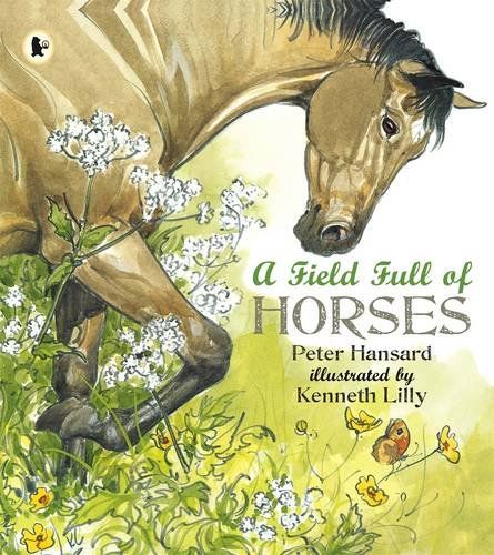 A field full of horses