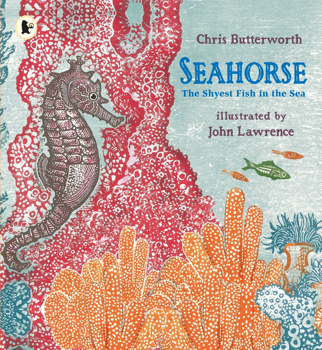 Seahorse/ The shyest Fish in the Sea