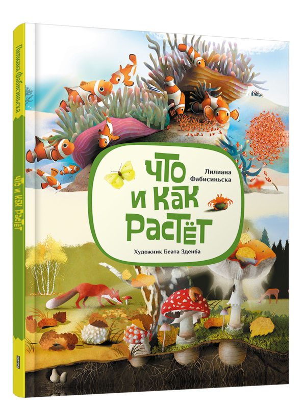 Что и как растёт