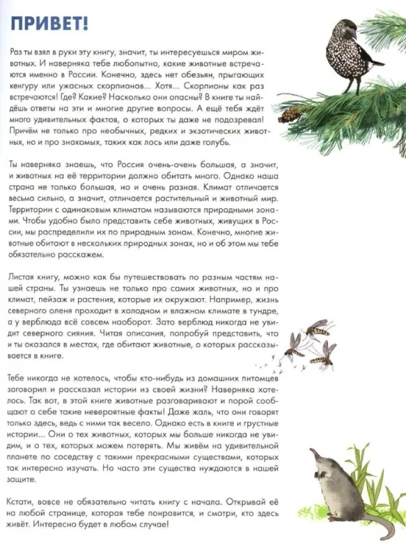 1854707-1-large.webp