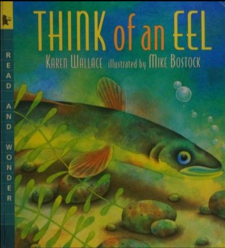 Think of an Eel