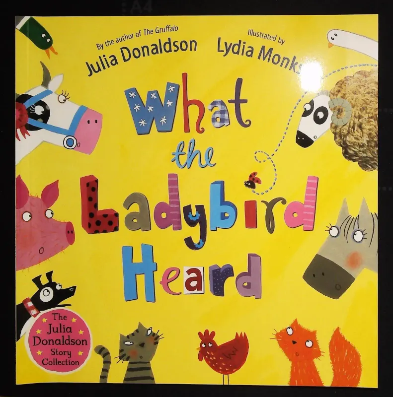 What the ladybird heard / Julia Donaldson