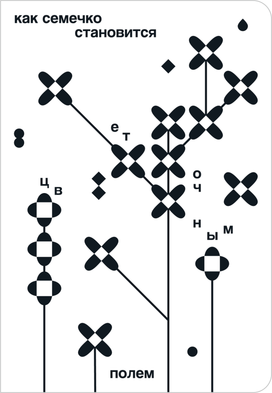 Как семечко становится цветным полем / Катя Цитрус