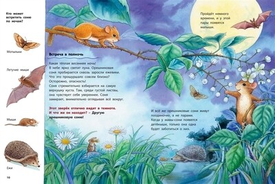 Кто такая орешниковая соня? / Райхенштеттер Ф.