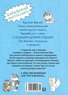 Доктор Камням / Хон Мин Джон