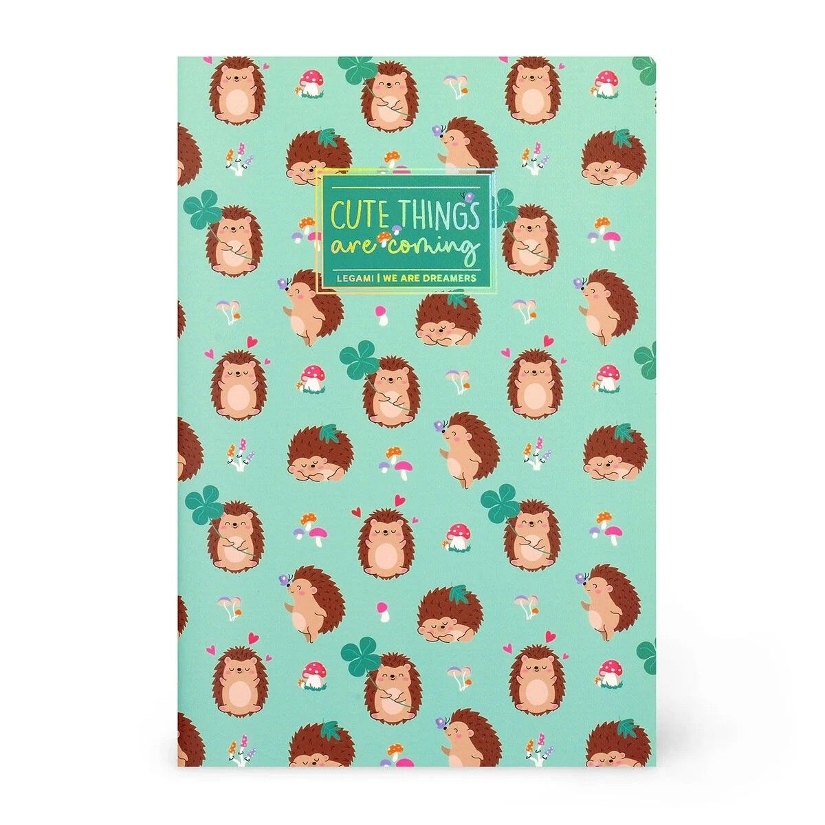 PLAIN NOTEBOOK - QUADERNO - MEDIUM - HEDGEHOG