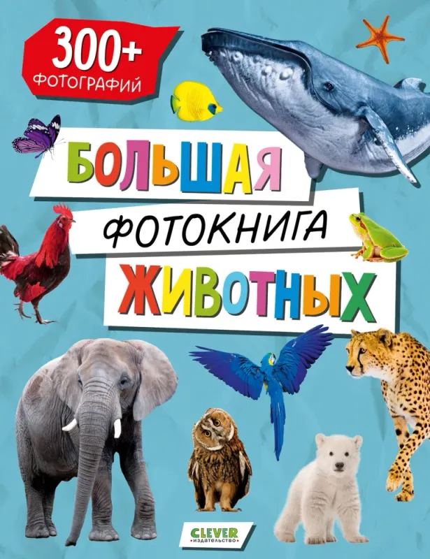 Первые книжки малыша. Большая фотокнига животных