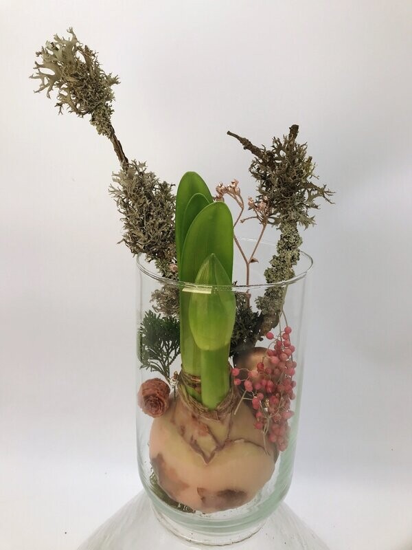 Sorglose Blumenfreude