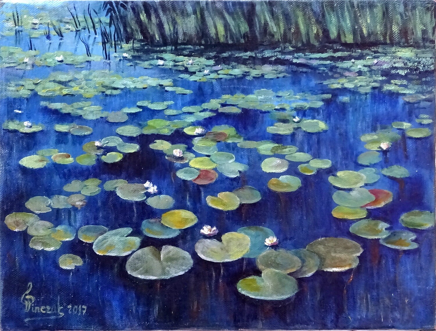 Nenufary