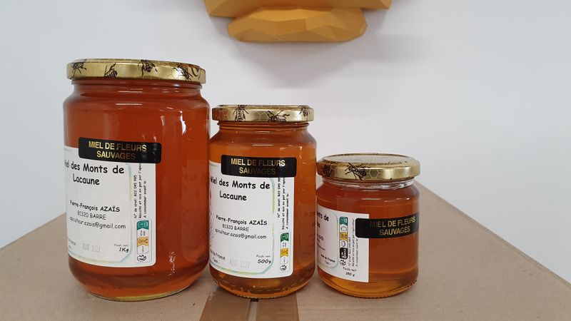 Miel de fleurs sauvages