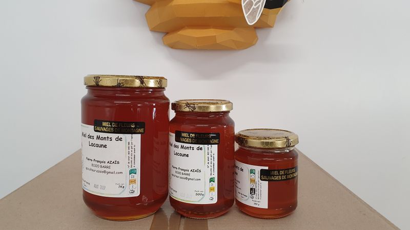 Miel de fleurs sauvages de montagne