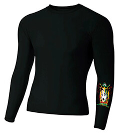 Polyester Spandex Long Sleeve Compression T-Shirt