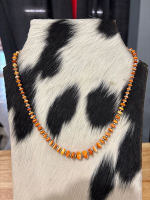Orange Spiny Oyster