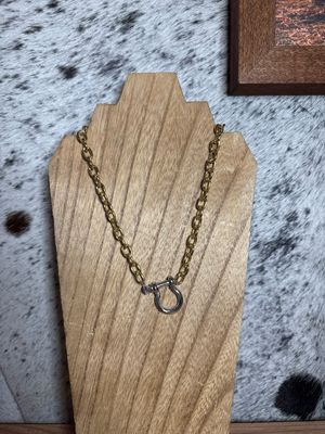 Silver Horseshoe Clasp with Gold Chain
