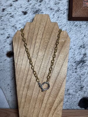 Silver Horseshoe Clasp with Gold Chain