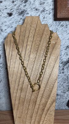 Gold Horseshoe Clasp with Gold Chain