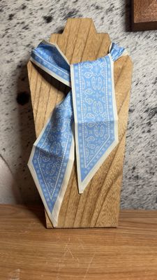 Light Blue Paisley Twilly