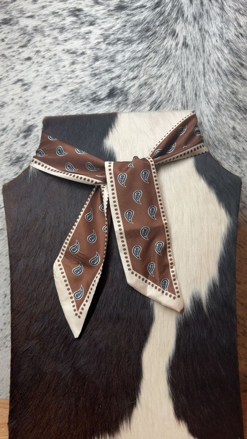 Brown &amp; Cream Paisley Twilly