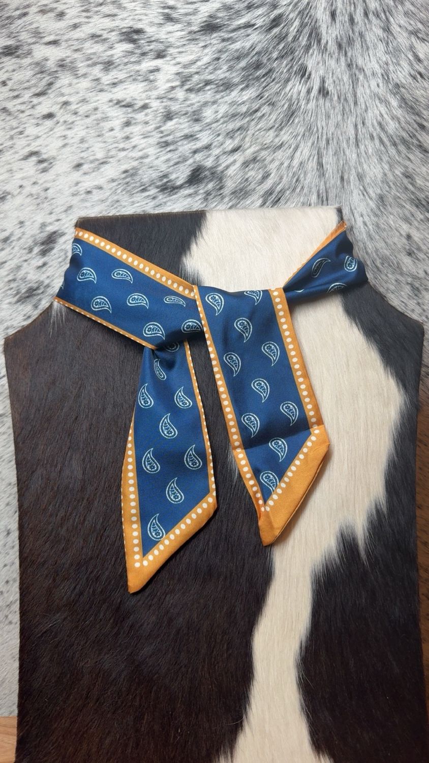 Blue &amp; Yellow Paisley Twilly