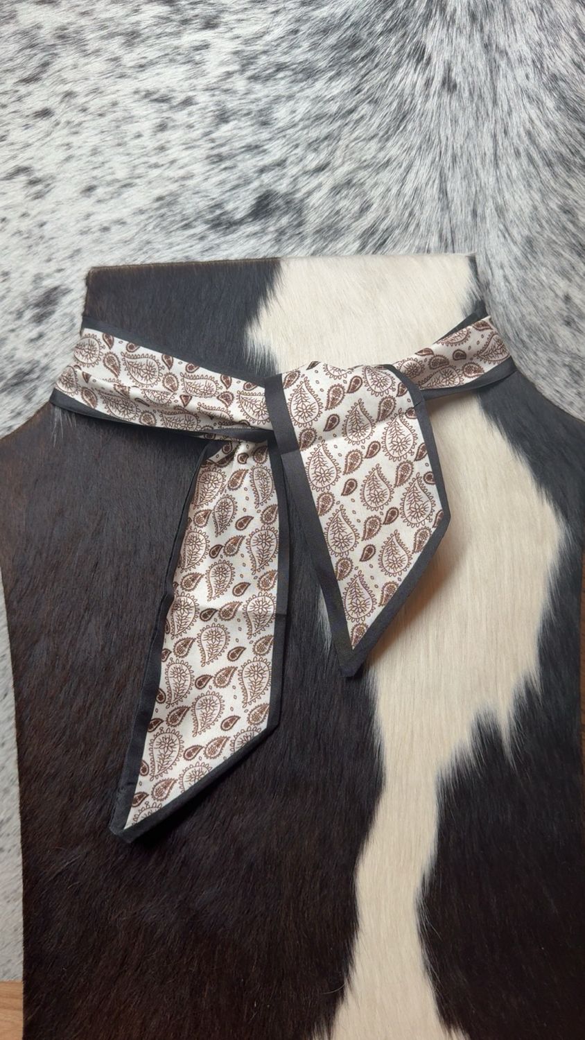 Brown &amp; Black Paisley Twilly