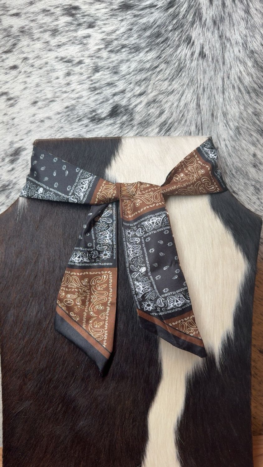 Black &amp; Brown Paisley Twilly