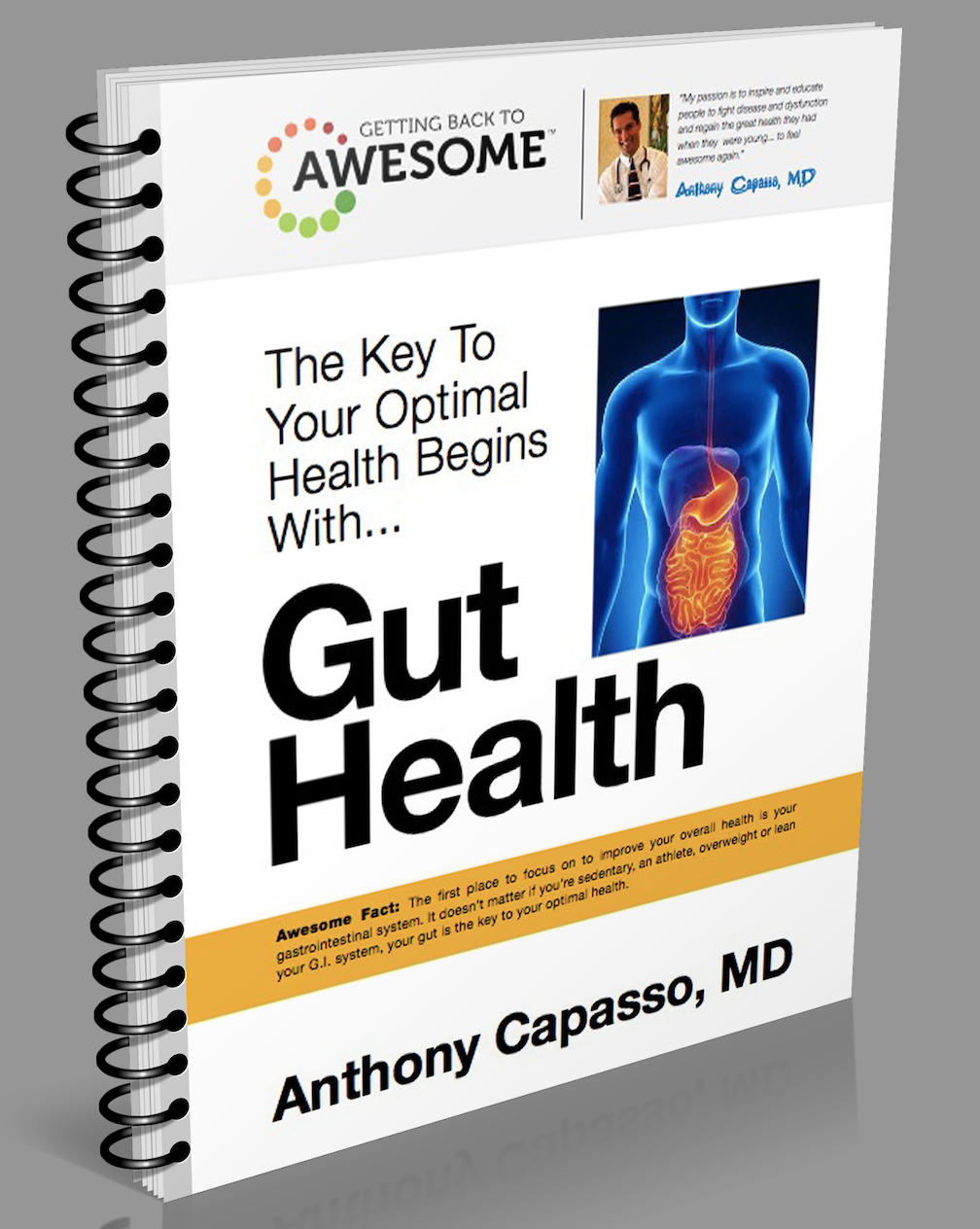 Gut Health E-book