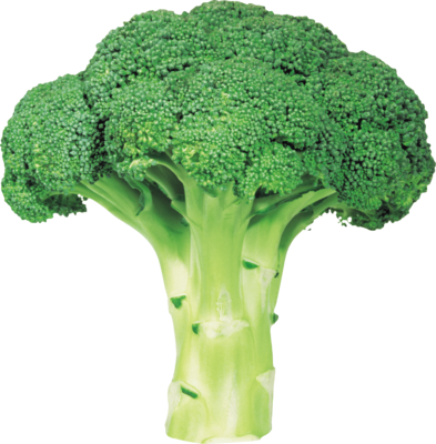 Broccoli