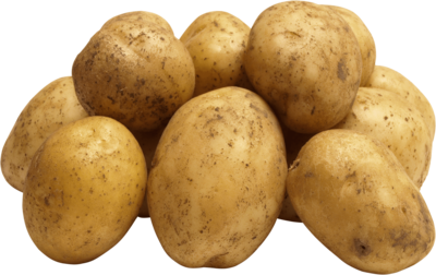 Pomme de terre