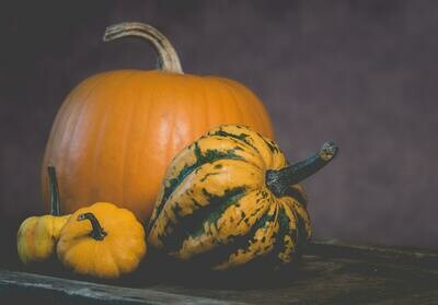 Courge