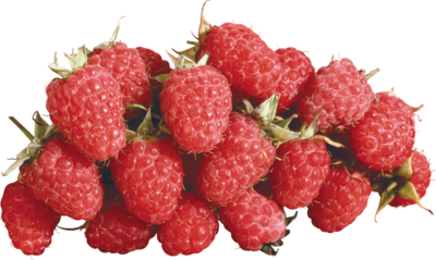 Framboise