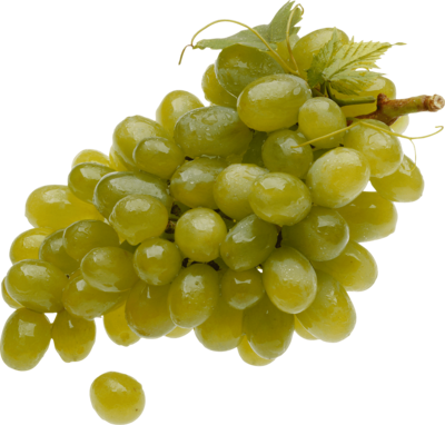 Raisin vert