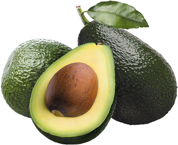 Avocat