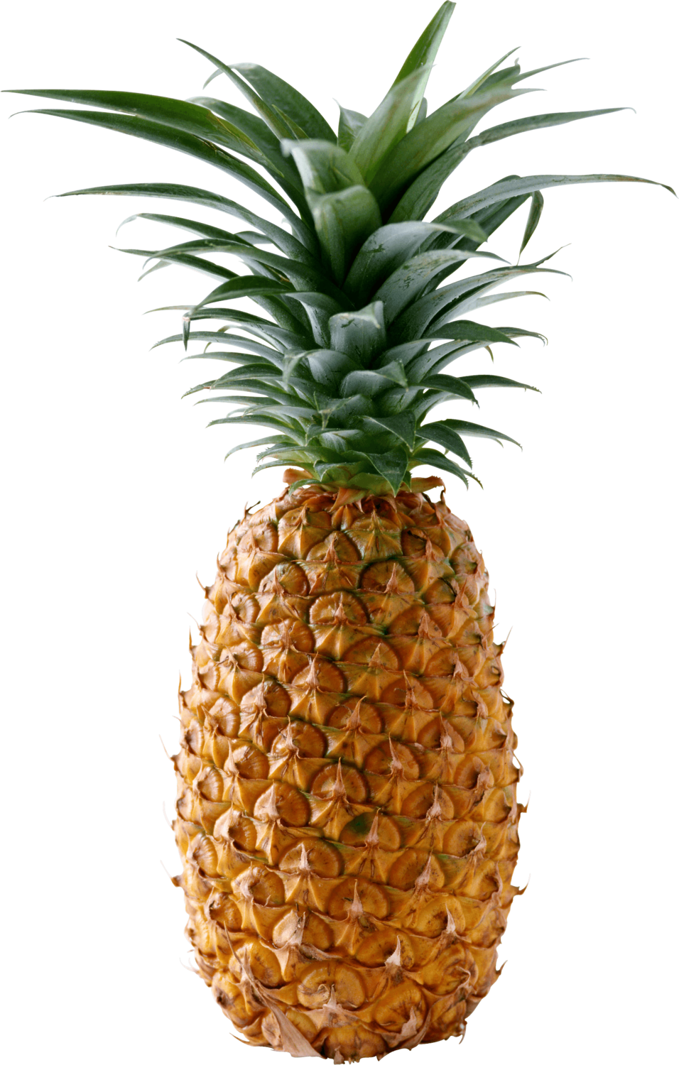 Ananas