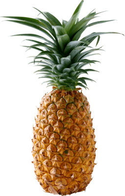 Ananas