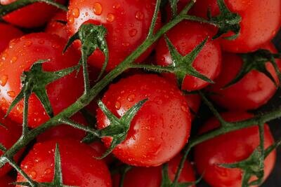 Tomate