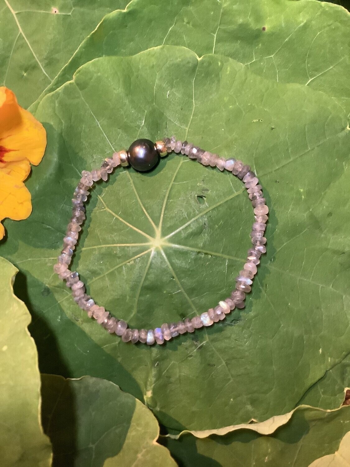 Tahiti Gray