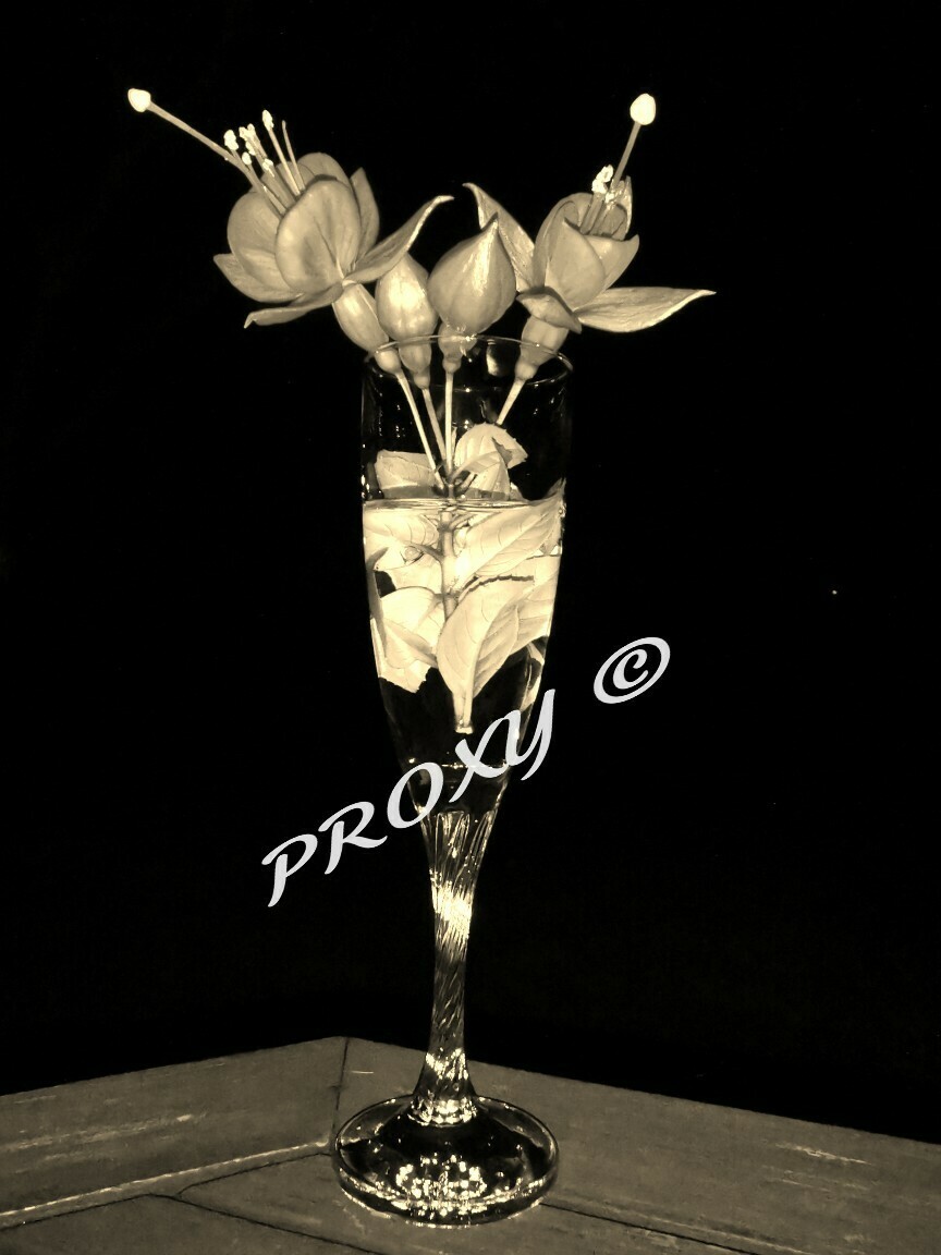 Fleurs