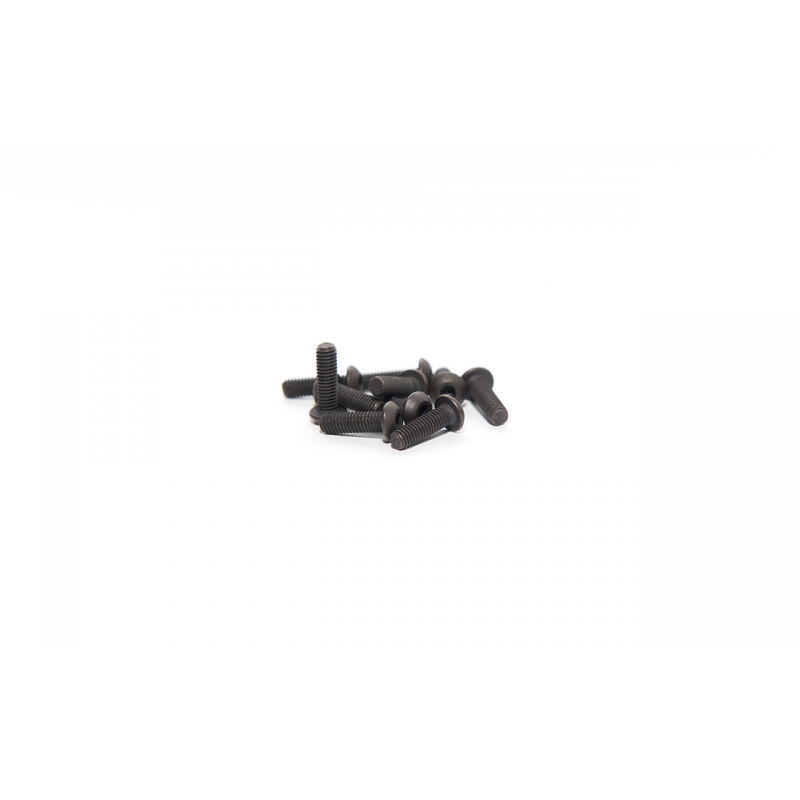 round head screw m3x10