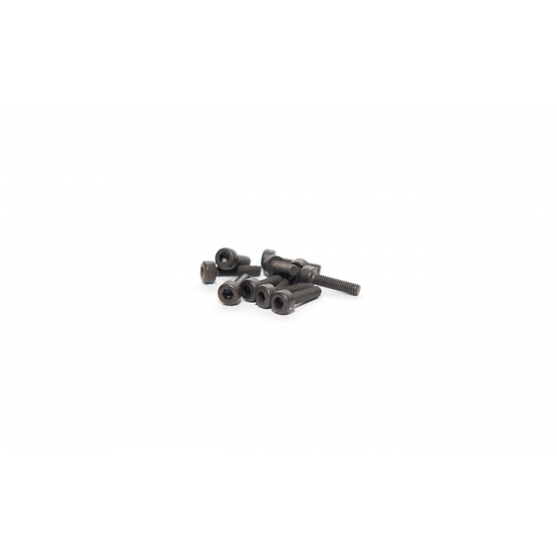 Cap- screw m2,5x10 10 pcs