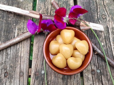 Pure Mini Beeswax Melts