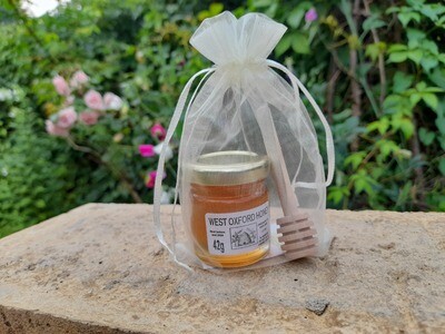Mini Honeypots (sold out)