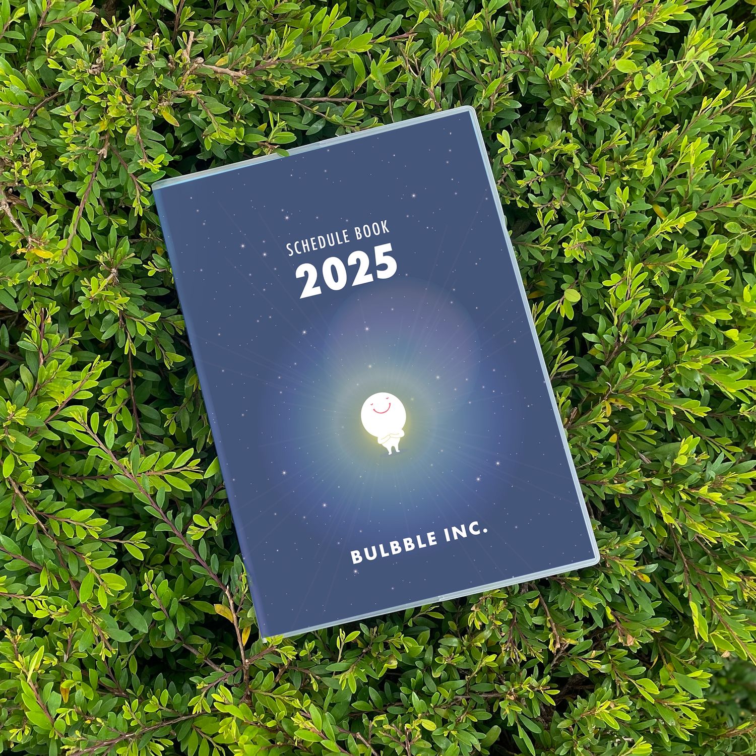 Bulbble Inc. “Believe In Yourself” Schedule Book 2025