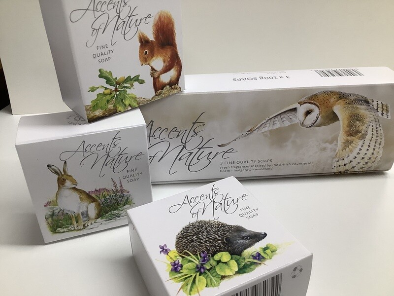 Set of 4 - Accents of Nature Soap