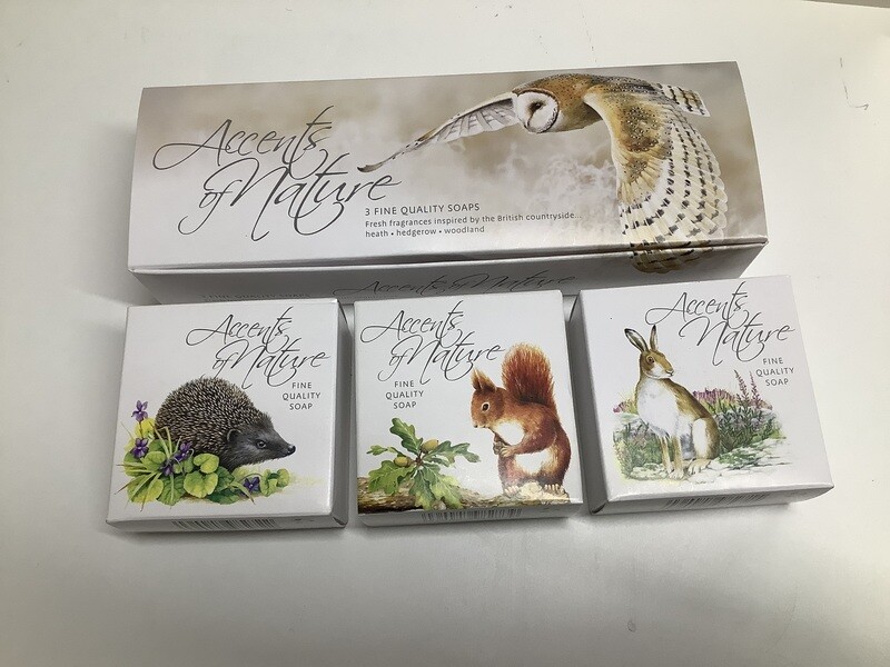 Set of 4 - Accents of Nature Soap