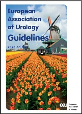 European Association of Urology Guidelines 2020