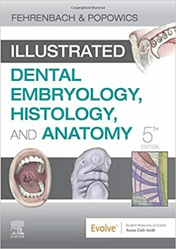 Illustrated Dental Embryology, Histology, and Anatomy 5th Edition