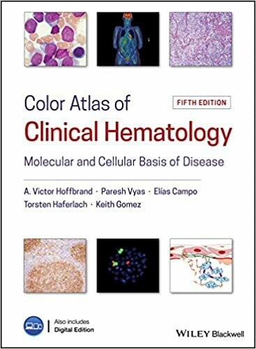Color Atlas of Clinical Hematology: Molecular and Cellular Basis of Disease 5th Edition