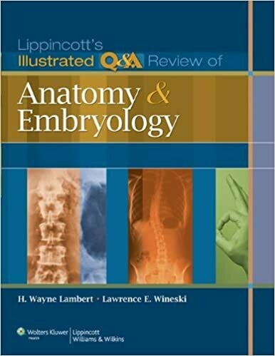 Lippincott&#39;s Illustrated Q&amp;A Review of Anatomy and Embryology  Illustrated Edition