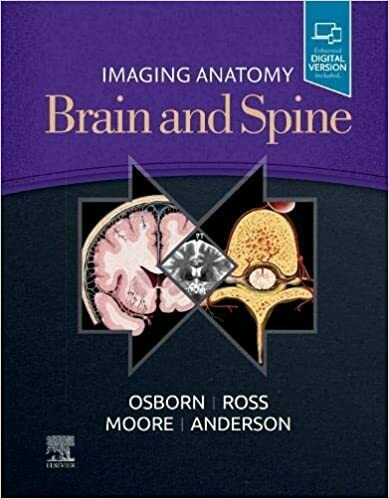 Imaging Anatomy Brain and Spine 1st Edition