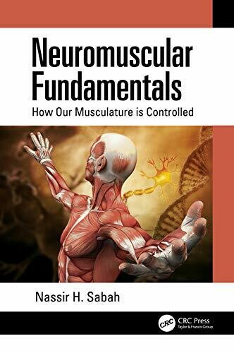 Neuromuscular Fundamentals: How Our Musculature is Controlled